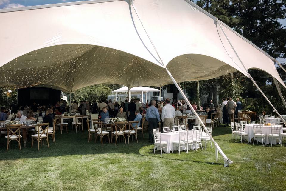 Carpas de todos tipo