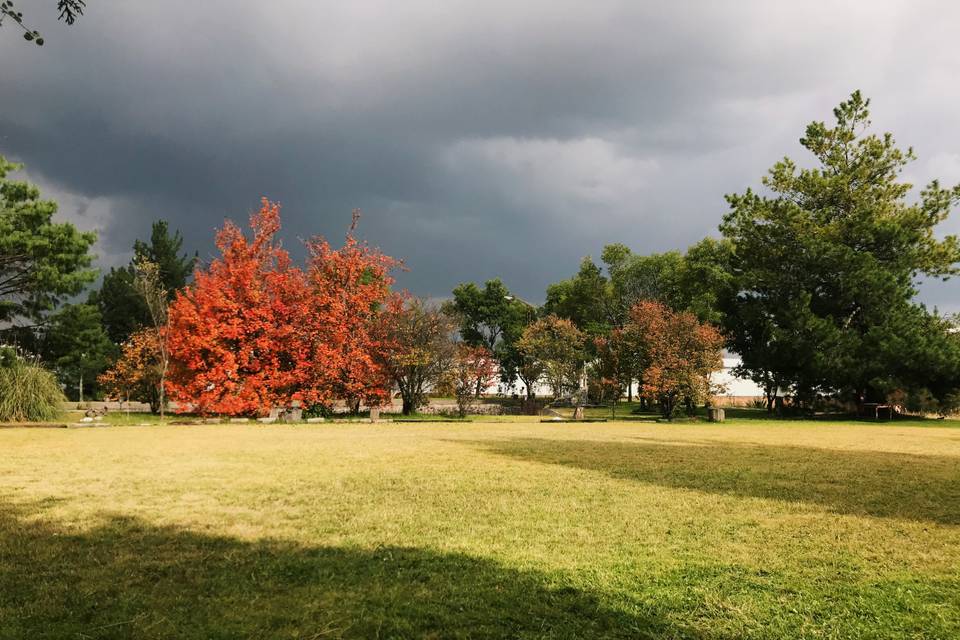 Jardín en otoño