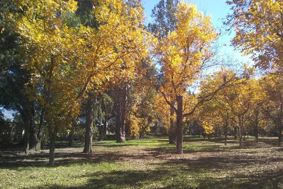 Otoño fontana