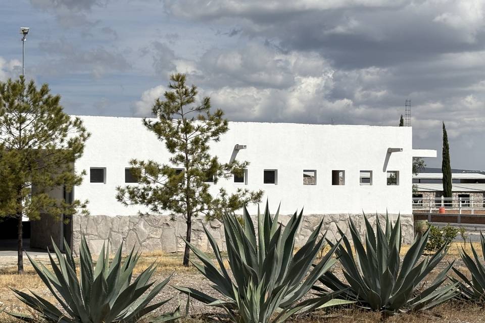 Terraza