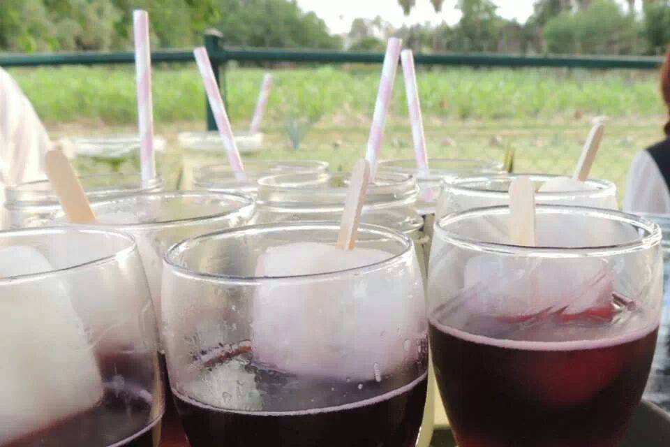 Paletas de limón con vino