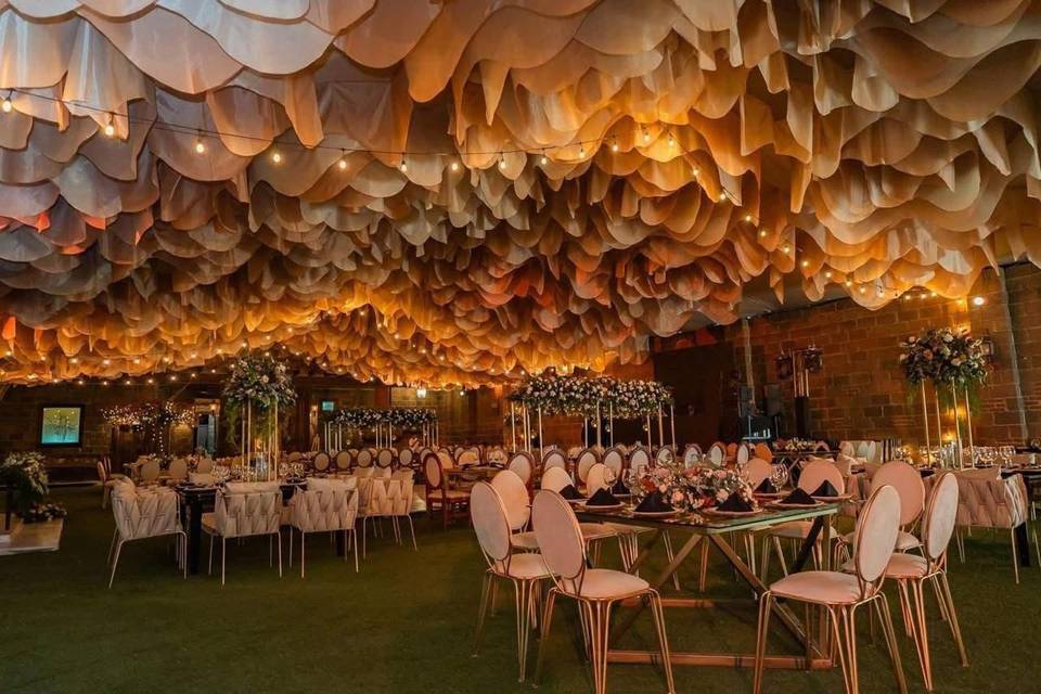 Carpa tulipanes