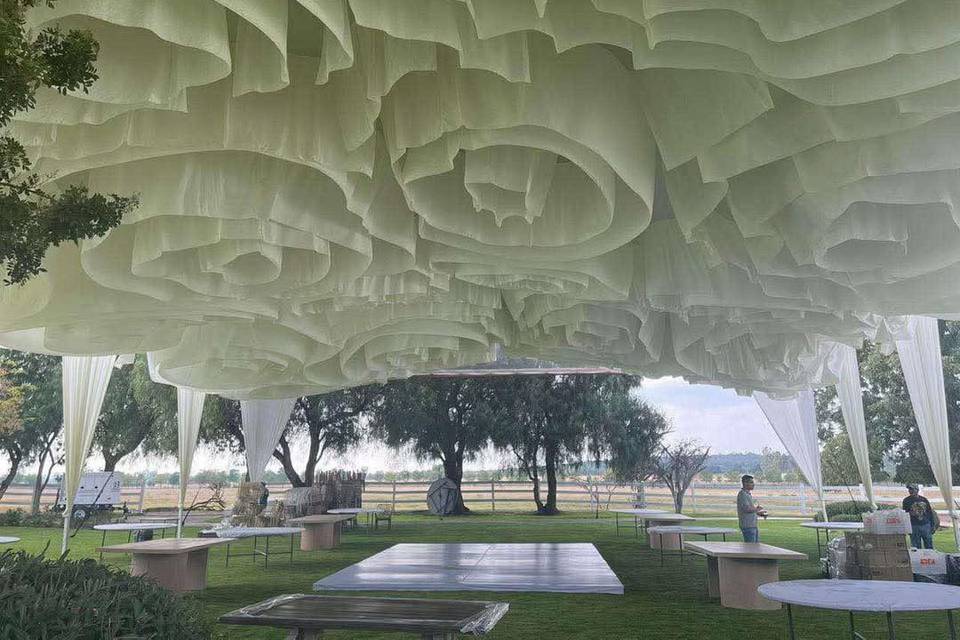 Carpa rosetones