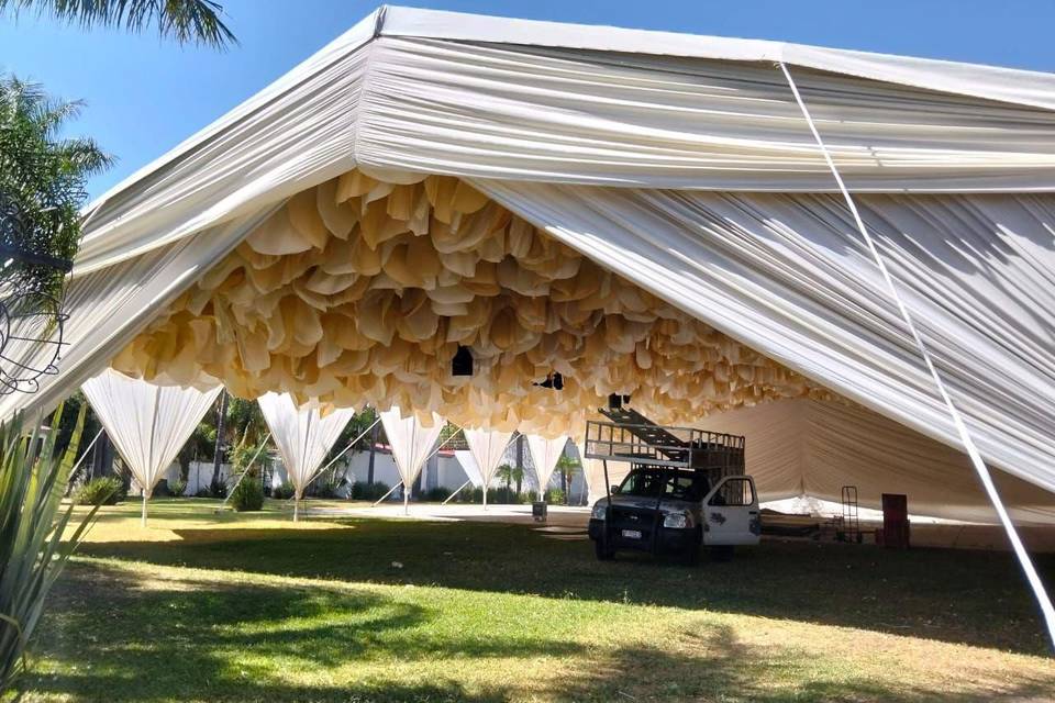 Carpa tulipanes
