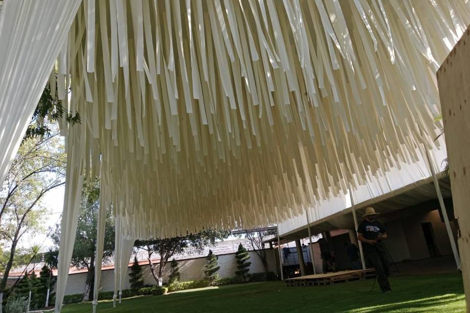 Carpa listones largos