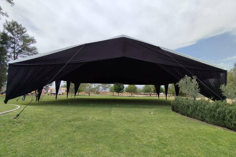 Carpa alemán