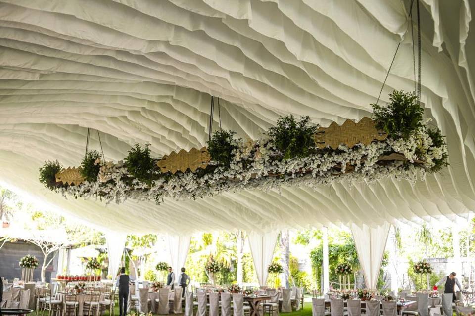 Carpa de olas