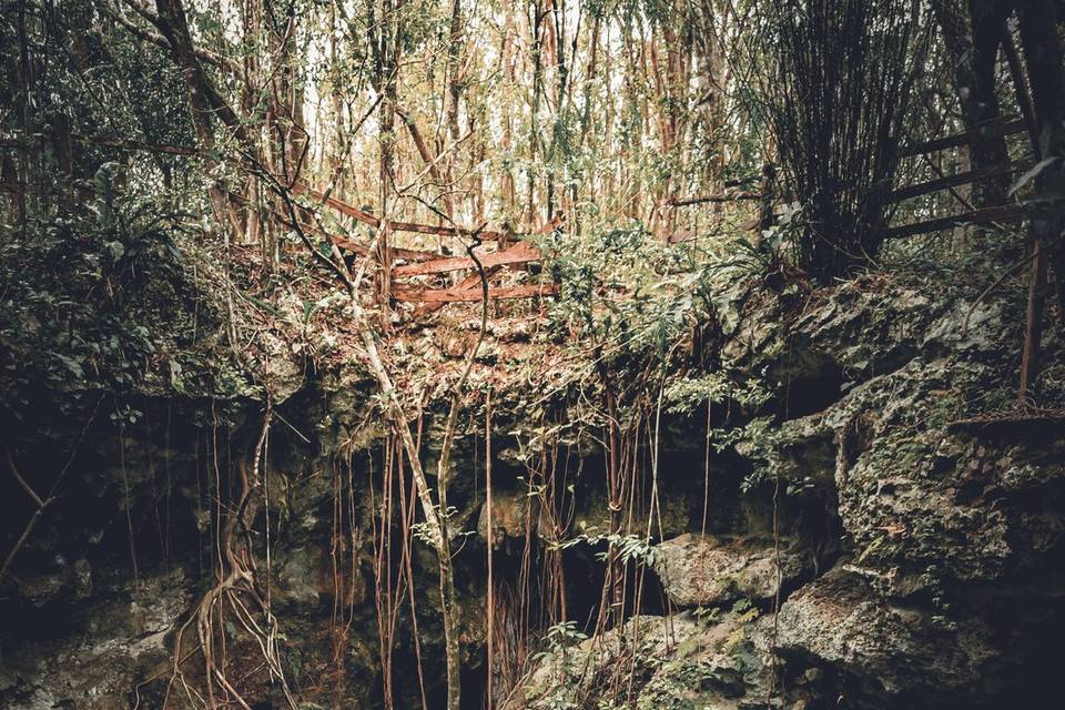 Ceremonia maya cenote