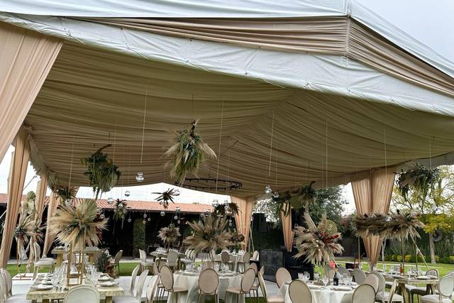 Carpa en un jardín