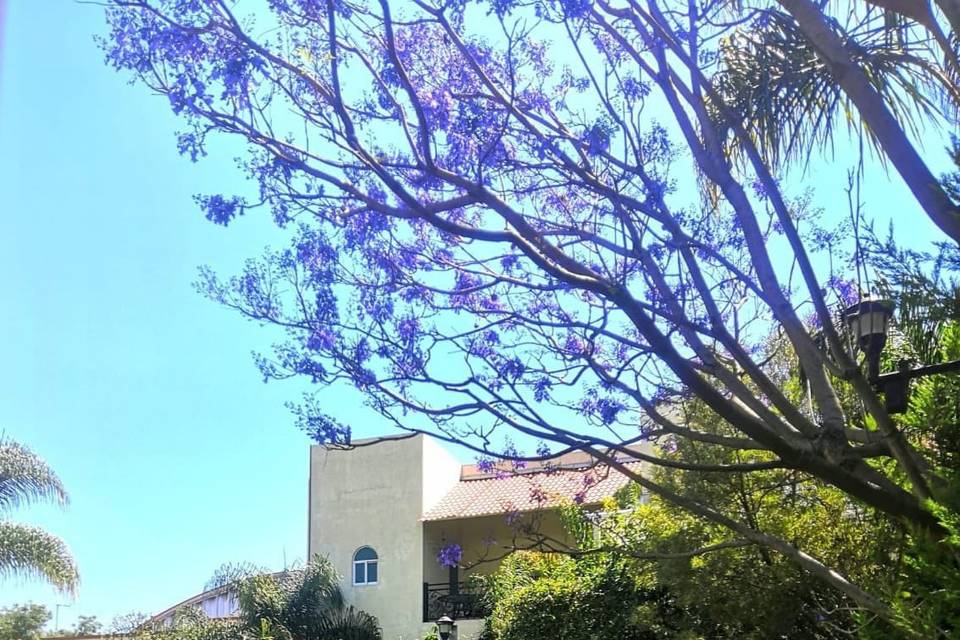 Jardin