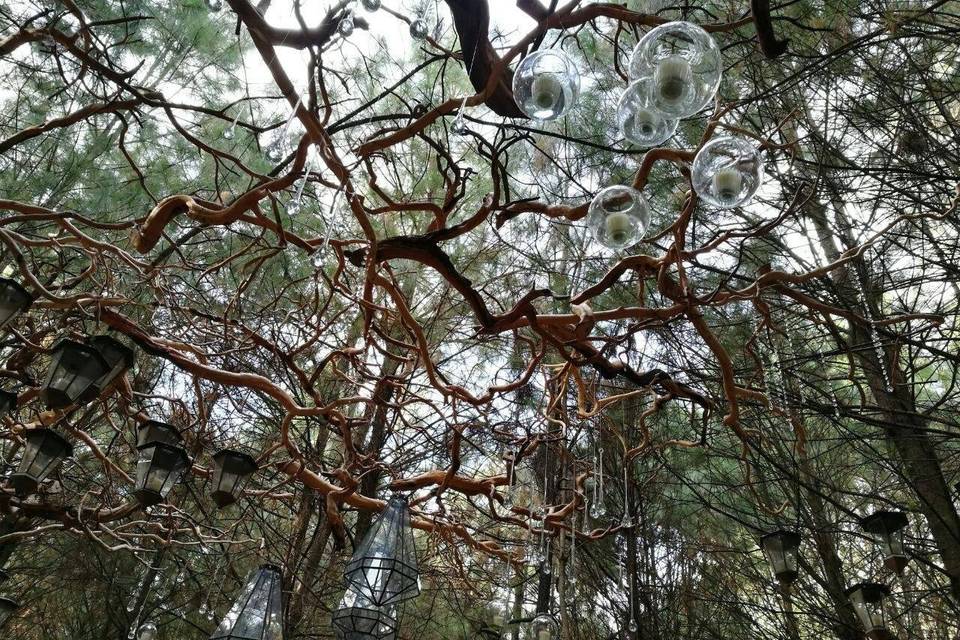 Montaje