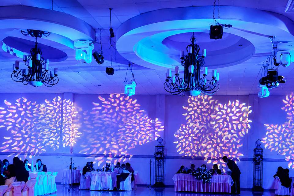 Luces