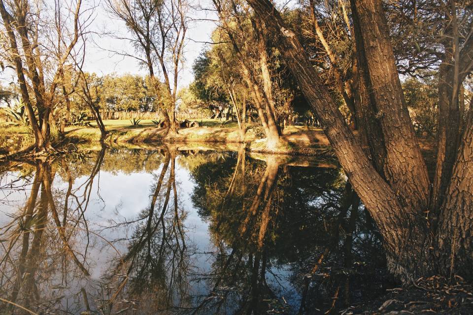 Hacienda de San Luis de Letras