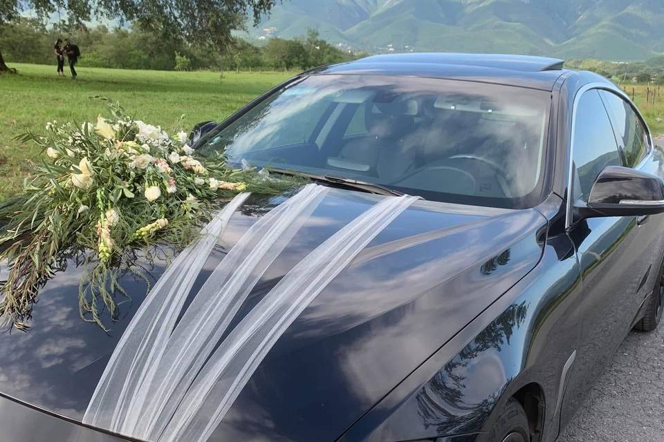 Luxury Trc