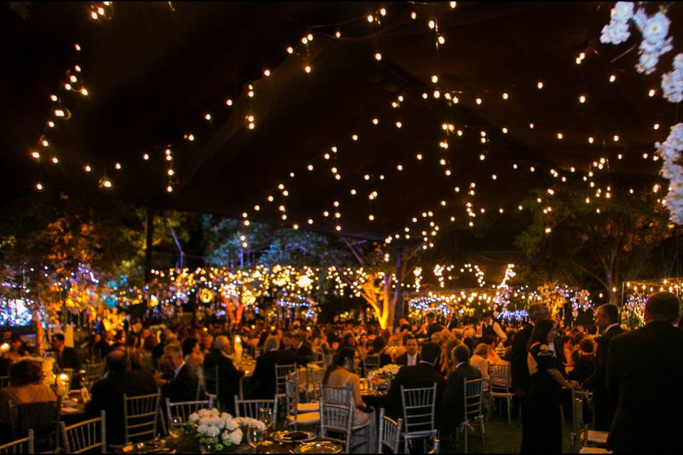 Iluminación tipo luciérnaga para salón