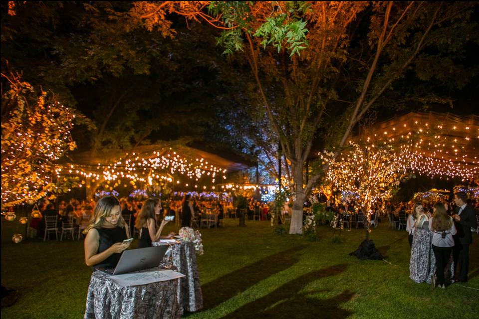 Toldos de luces en un jardín