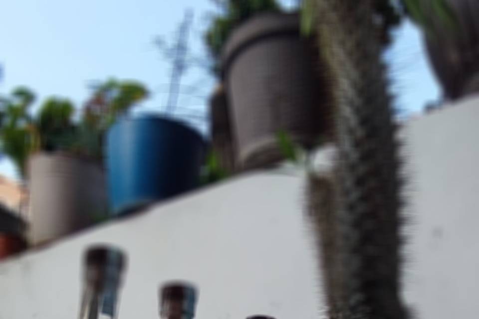 Mezcal artesanal Monte Coyote