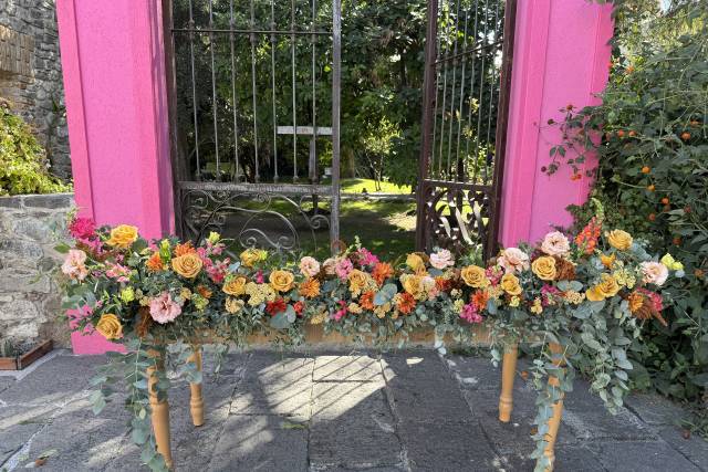 Novios color tequila