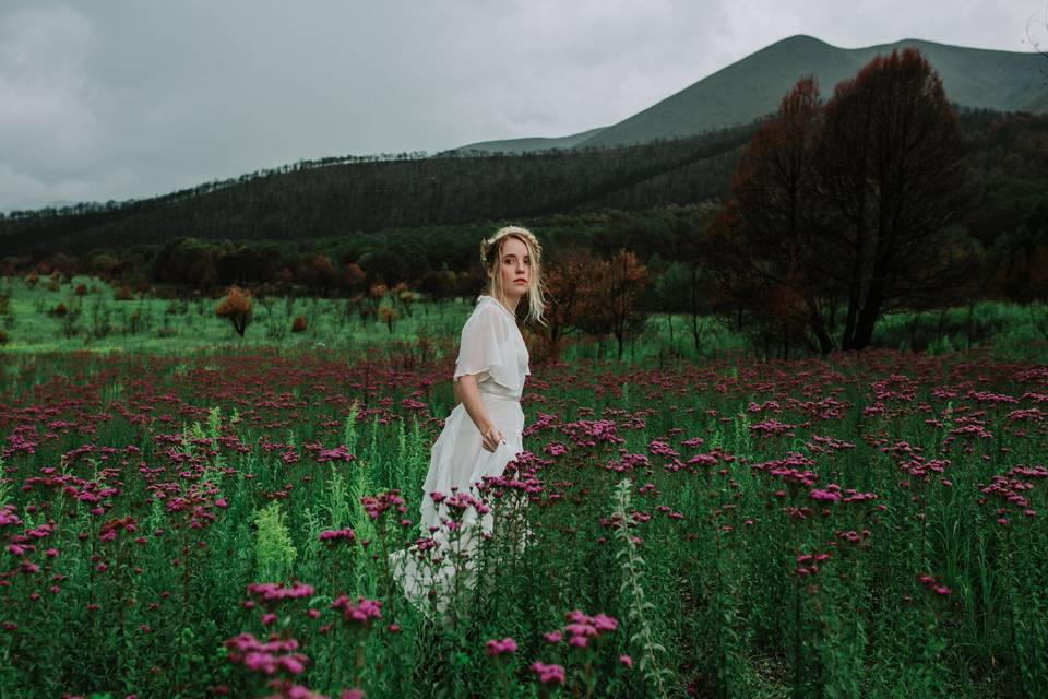 Blanca Flores Fotografía