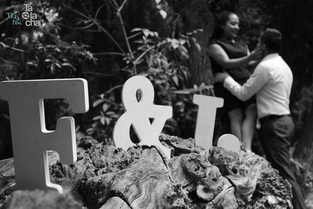 Letras y más letras