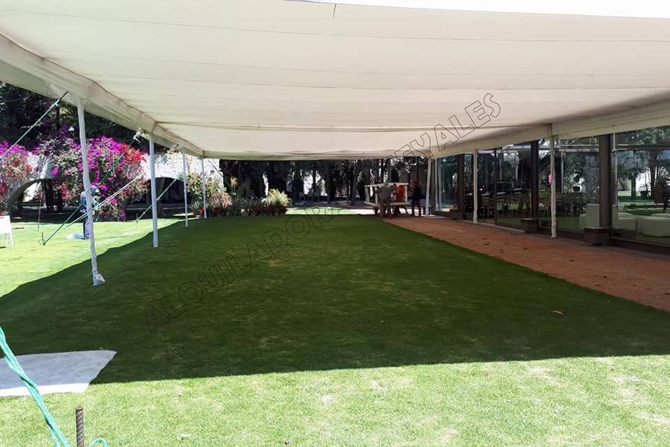 Interior carpa