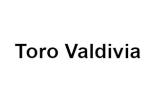 Toro Valdivia