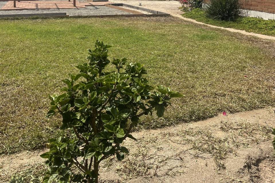 Jardines