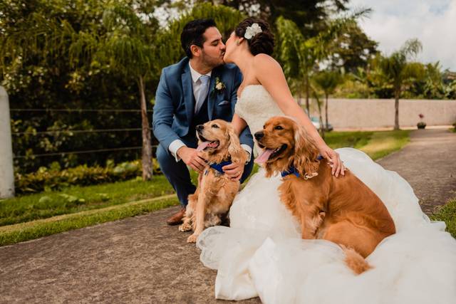 Wedding day
