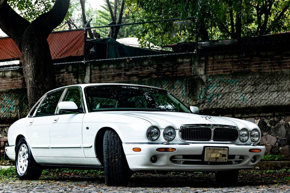 Jaguar