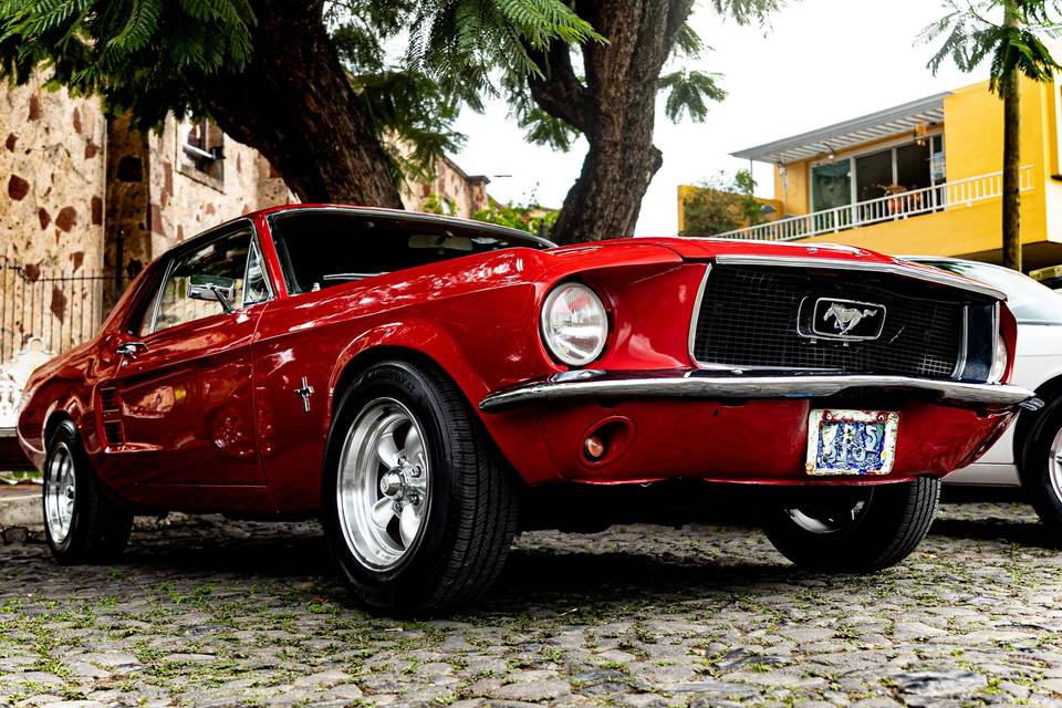 Mustang