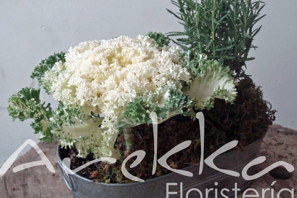 Arekka Floristería