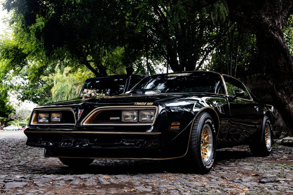 TransAm