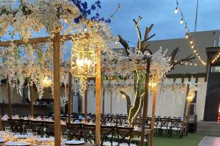 Antonella Jardín & Boutique