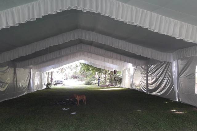 Carpa blanca elegante