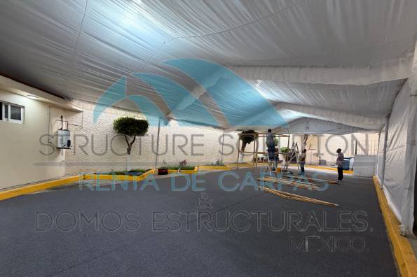 Carpas con alfombra