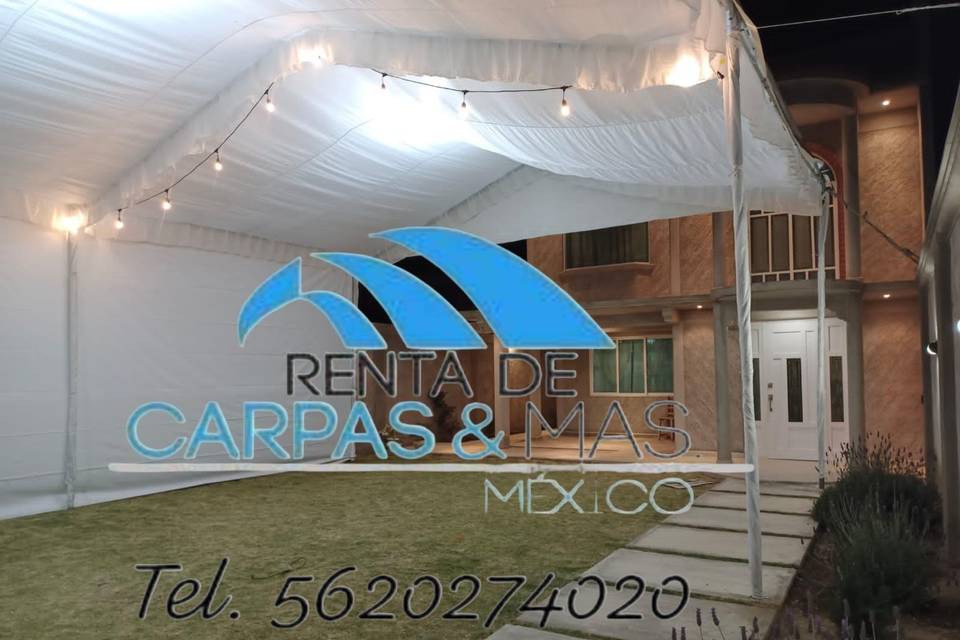 Carpa 10 x 10
