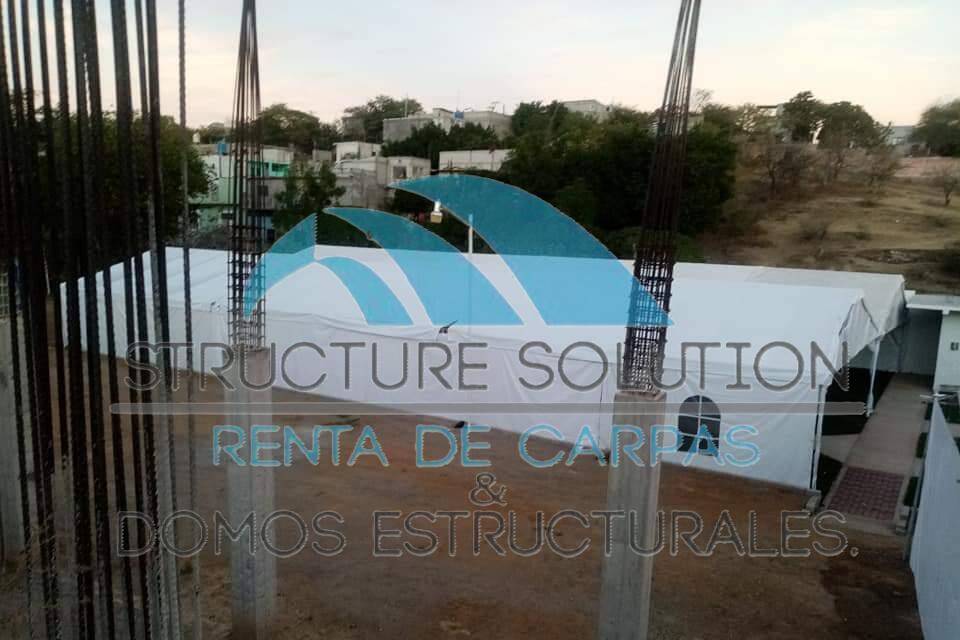 Dos carpas 10 x  60