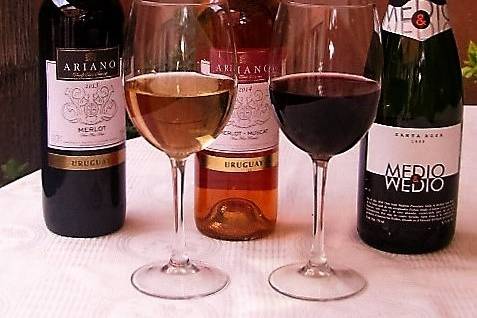 Vinos finos uruguay