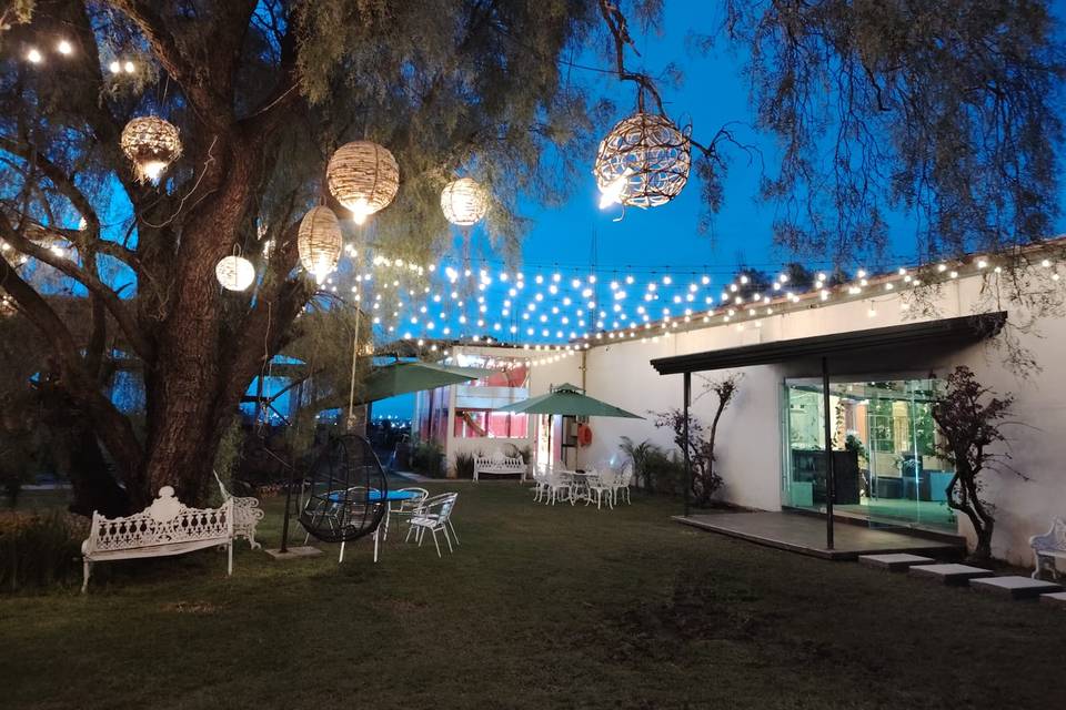Jardín en Desarrollo y Luz