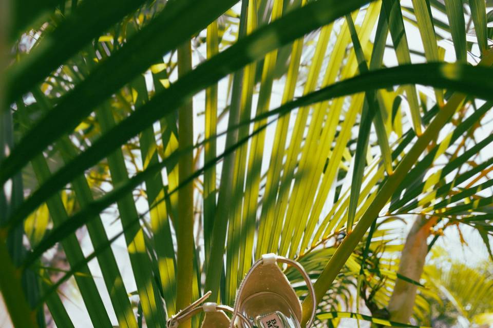 Boda en Playa Del Carmen