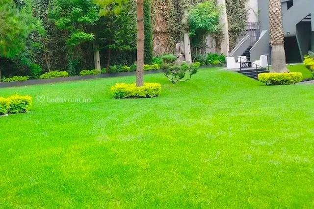 Jardin