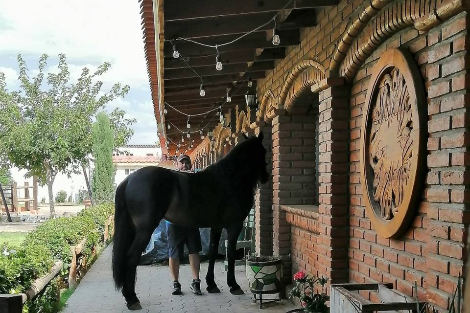 Rancho El Capricho