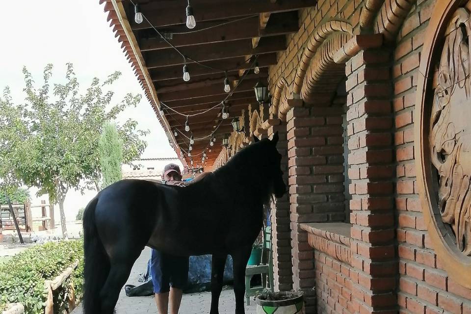 Rancho El Capricho