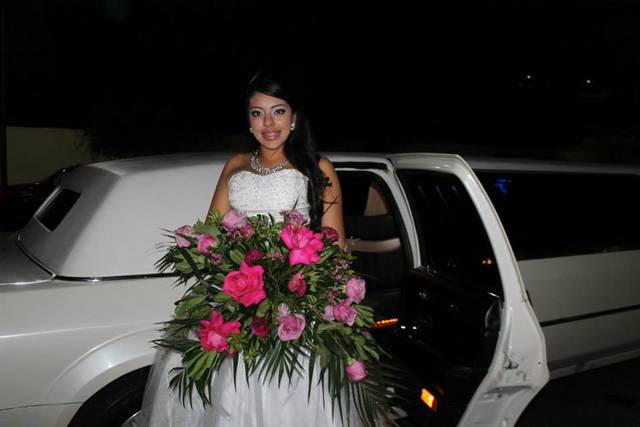 Como siempre lo soñaron