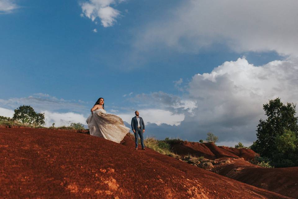 Trash the dress