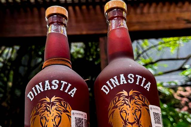 Sabor que Conquista