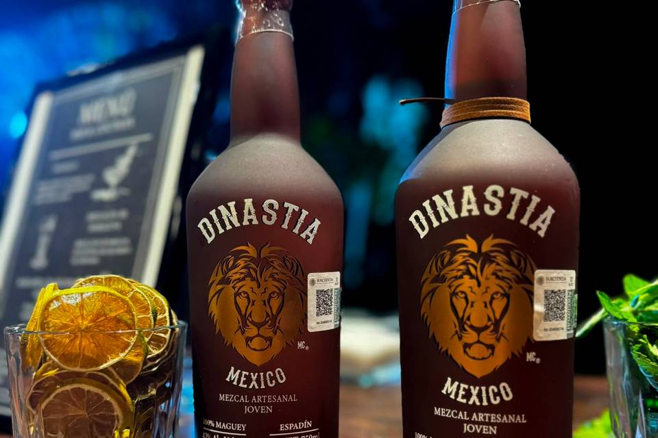 Momentos con Dinastía