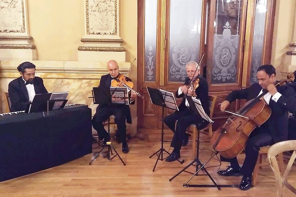 Concerto Novo