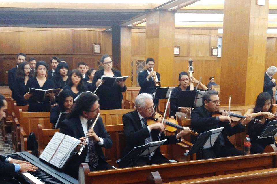 Concerto Novo