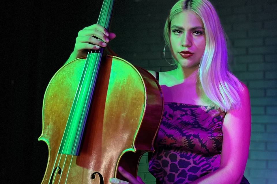 Dany Voz & Cello
